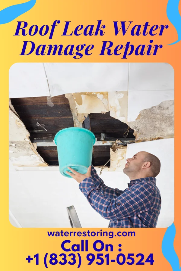 Roof Leak Water Damage Repair in Locust Grove, OK