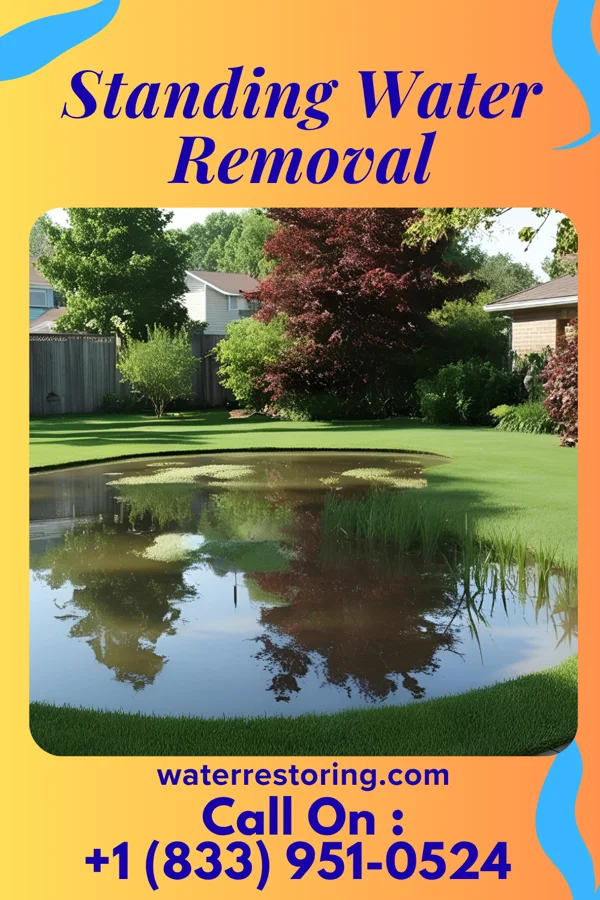 Standing Water Removal in Locust Grove, OK